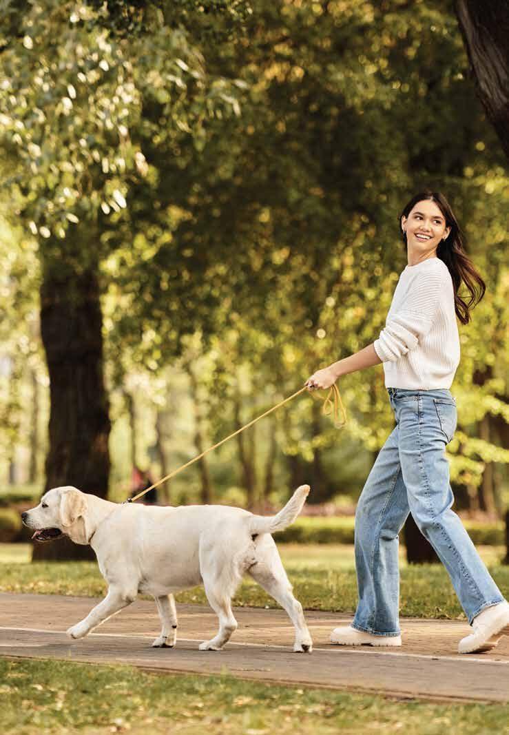Landscape and family recreation — representative image